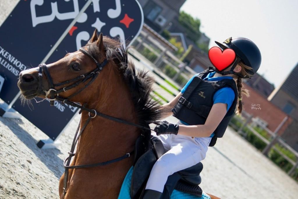 A-pony, superbrave allround sportpony, Dieren en Toebehoren, Pony's, Merrie, Met stamboom, Springpony, A pony (tot 1.17m)