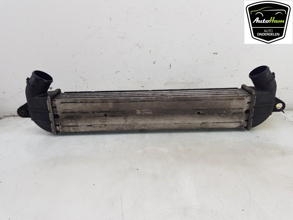 INTERCOOLER Fiat Doblo Cargo (223) (|89067897|46849068|), Utilisé, Fiat