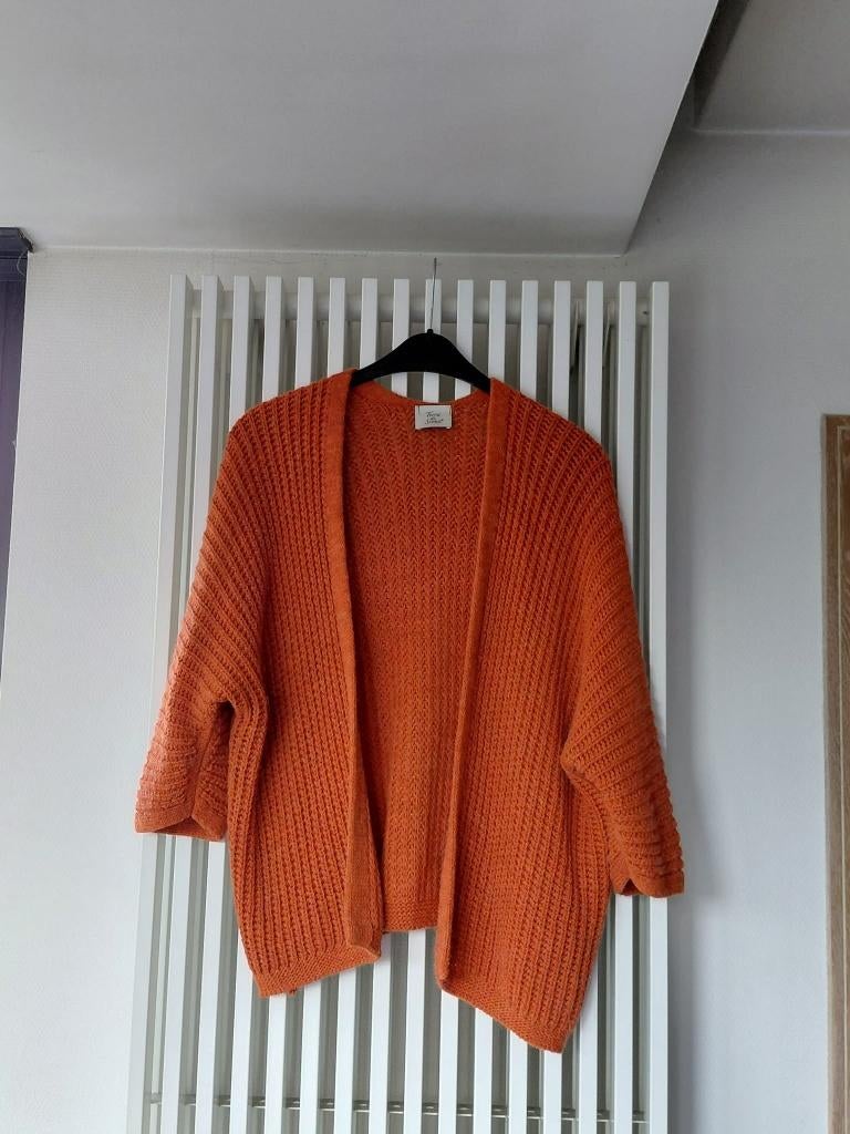 Gilet L/XL, Maat 42/44 (L), Nieuw, Ophalen of Verzenden, Bruin