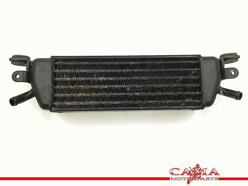 OLIEKOELER BMW R 1150 RT (R1150RT) (01-1970/-), Motoren, Dhr. S. di Majo, Gebruikt, Info@cama-motorparts.nl, P.J. Troelstraweg 8 8
3144 CX  MAASSLUIS, NL