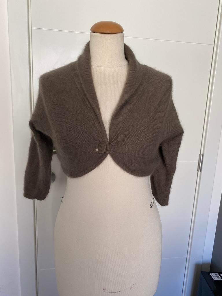 Klein vest in bolerostijl, Ophalen of Verzenden, Gedragen, Maat 36 (S), Overige kleuren