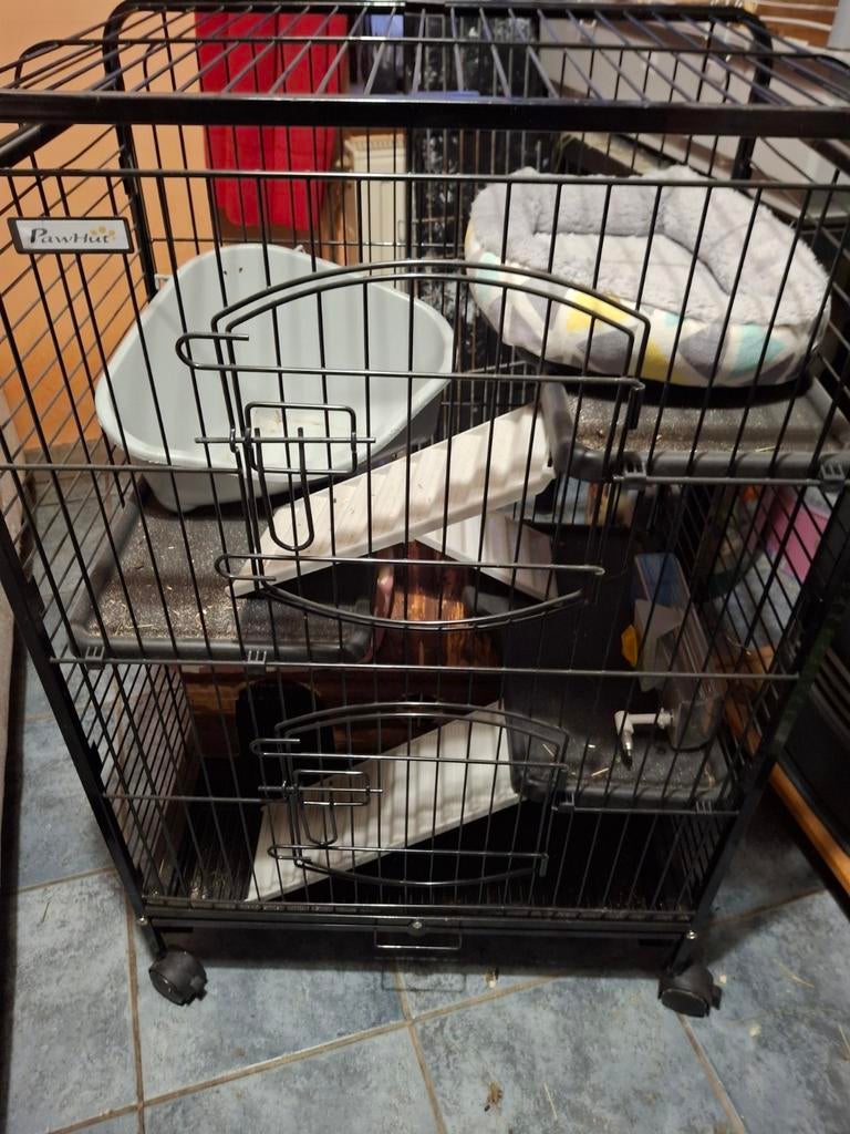 Cage roneur, Animaux & Accessoires, Enlèvement, Comme neuf, Accessoire pour rongeur