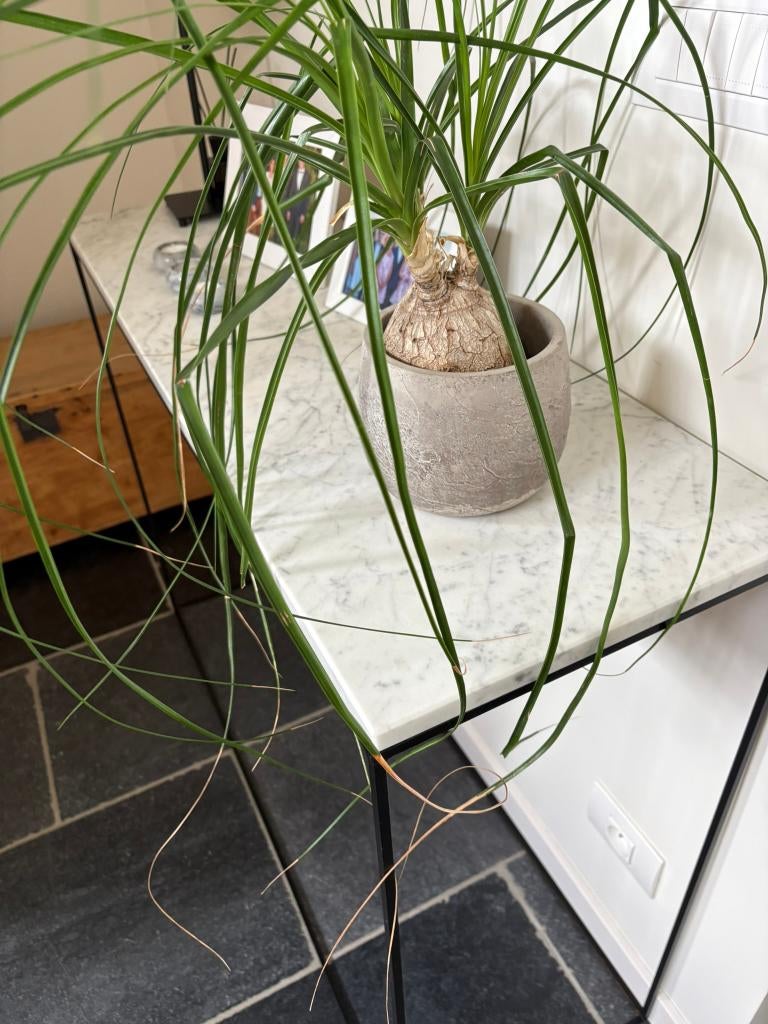 wit carrara marmer / vensterbank / bijzettafel / salontafel, Doe-het-zelf en Bouw, Ophalen, Zo goed als nieuw