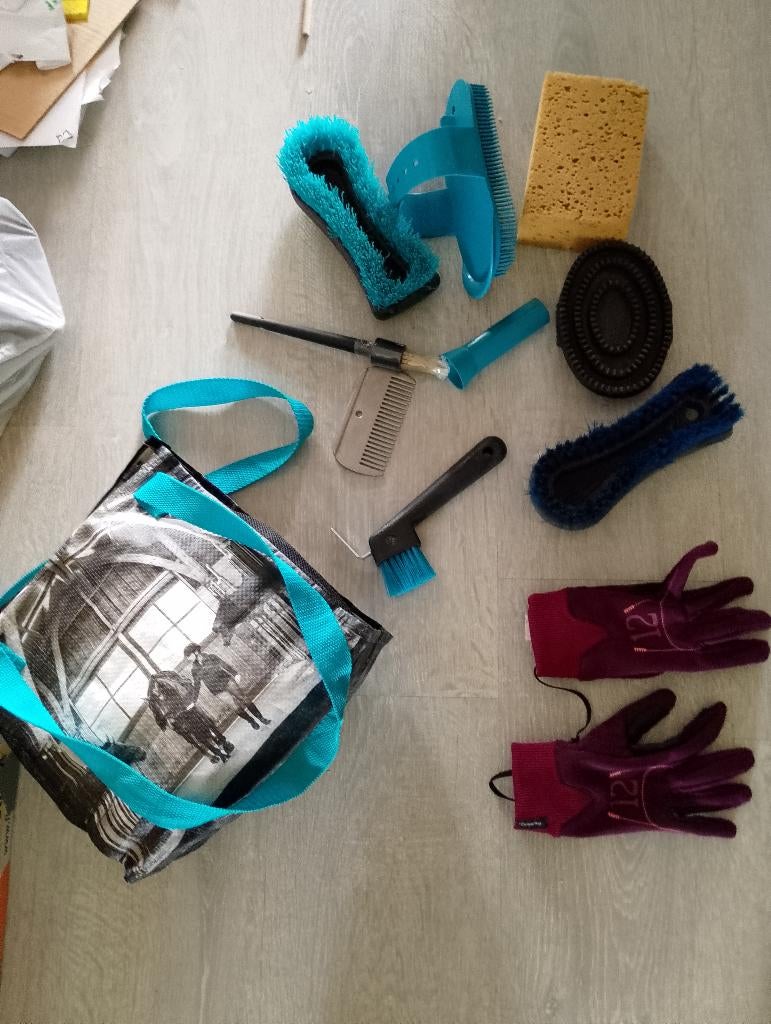 Paardrijden gerief, Dieren en Toebehoren, Ophalen, Gebruikt