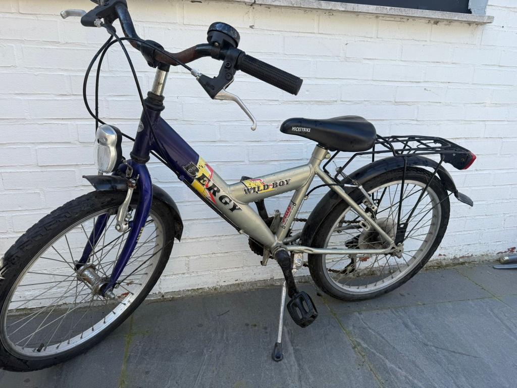Kinderfiets Berg Wild Boy – stevige fiets met bagagedrager, Fietsen en Brommers, Ophalen, Gebruikt