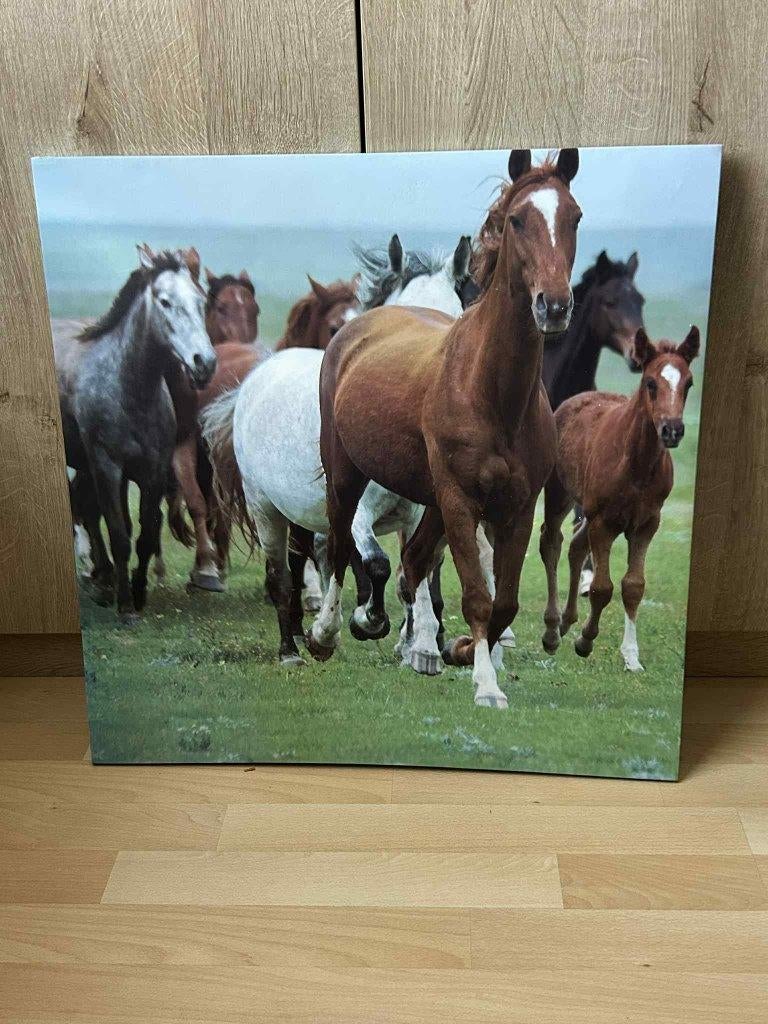 Gratis paarden canvas, Enlèvement, Comme neuf
