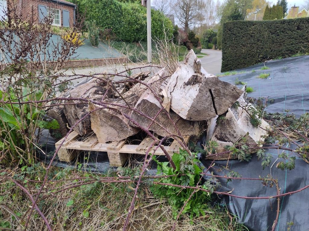 Bois sec à évacuer (pas de résineux) - Gratuit, Jardin & Terrasse, Bois de chauffage