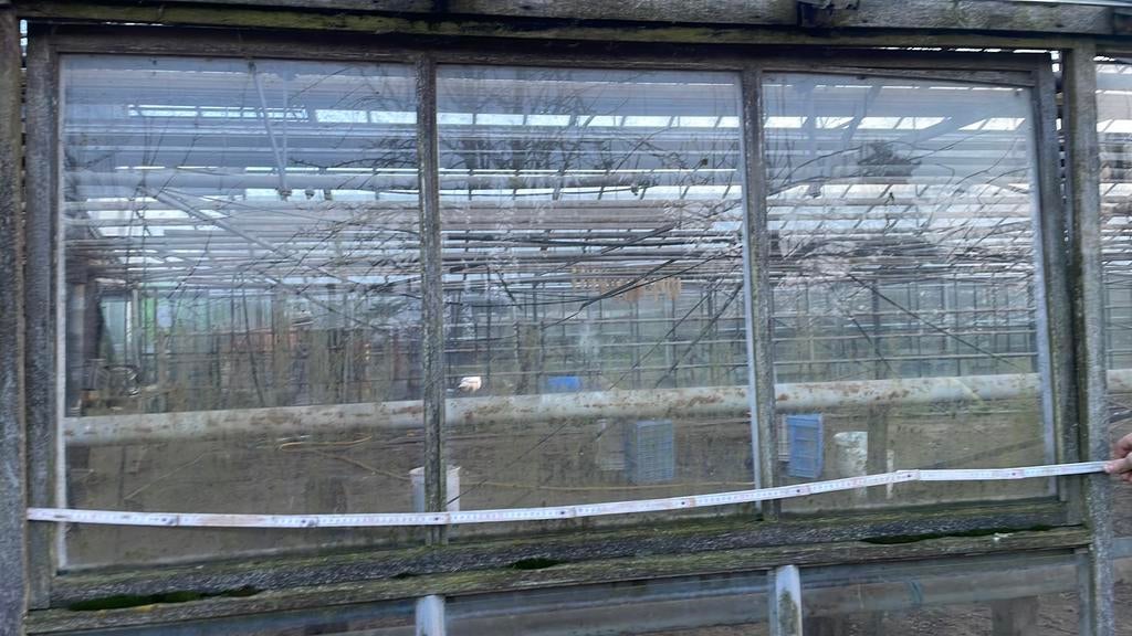 Houten kaders met serreglas, Jardin & Terrasse, Serres, Utilisé, Serre, Autres matériaux, Verre, Enlèvement