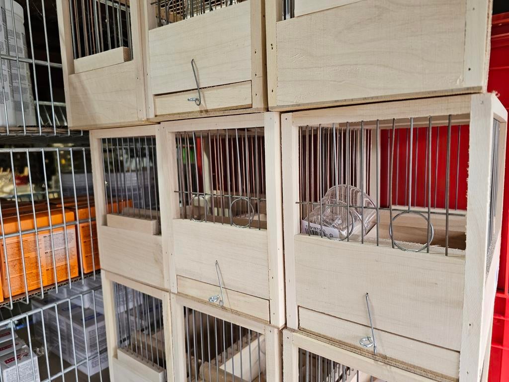 Houten Zang Kooi 21x24x16cm - Opsturen is mogelijk, Dieren en Toebehoren, Vogels | Duiven