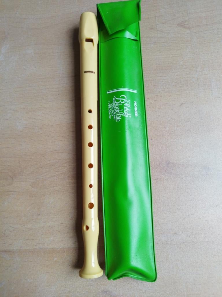 Hohner vintage fluit, Muziek en Instrumenten, Blaasinstrumenten | Blokfluiten, Ophalen of Verzenden, Gebruikt
