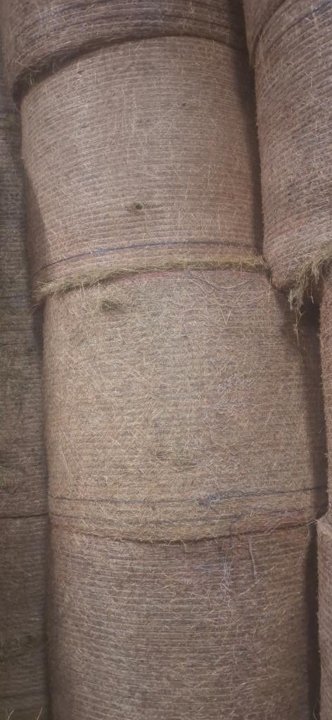 Hooi, Enlèvement ou Envoi, Autres espèces