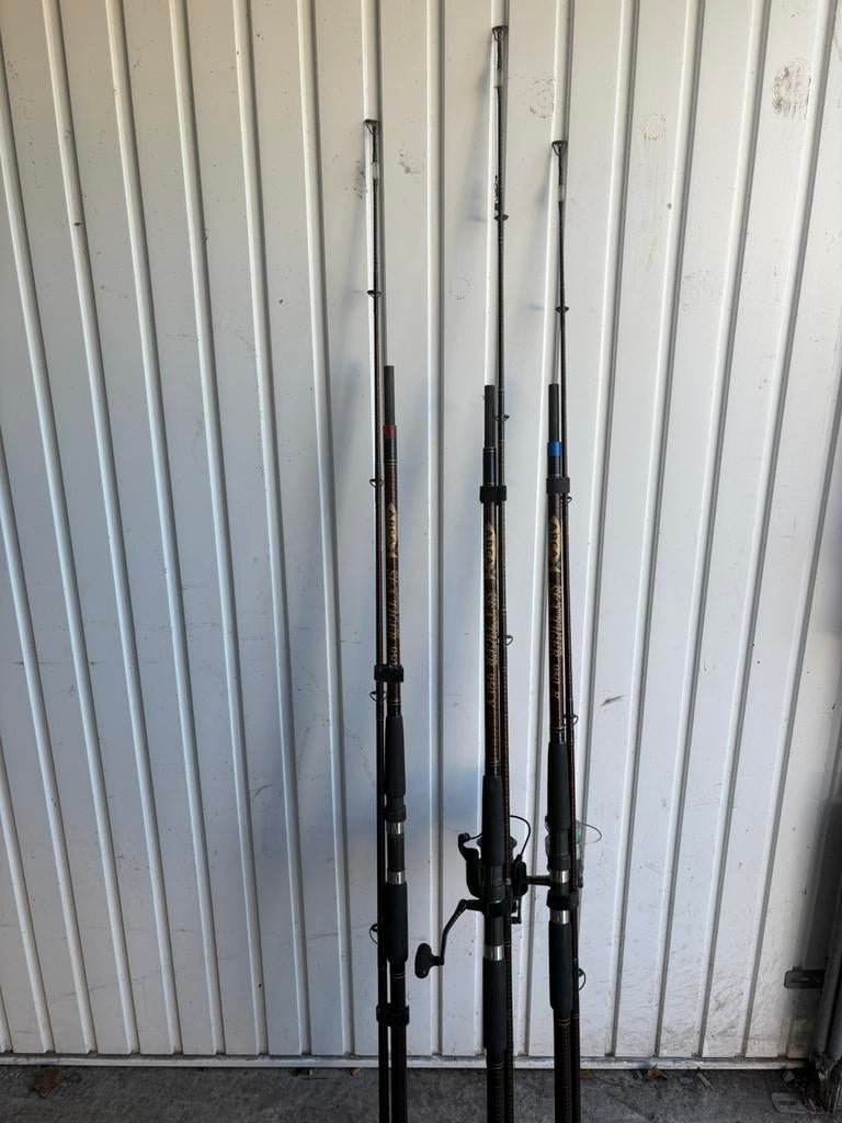 3 Arca Sea Tiger hengels met molen, Ophalen