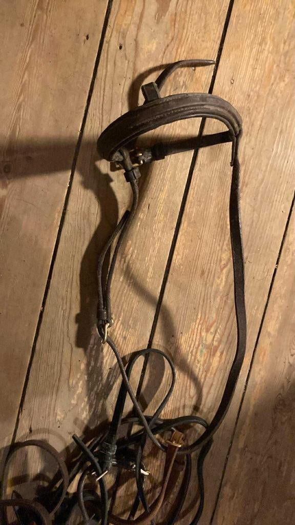 Divers pièces de cuirs ( muserolles, rênes, .. etc), Enlèvement ou Envoi, Utilisé