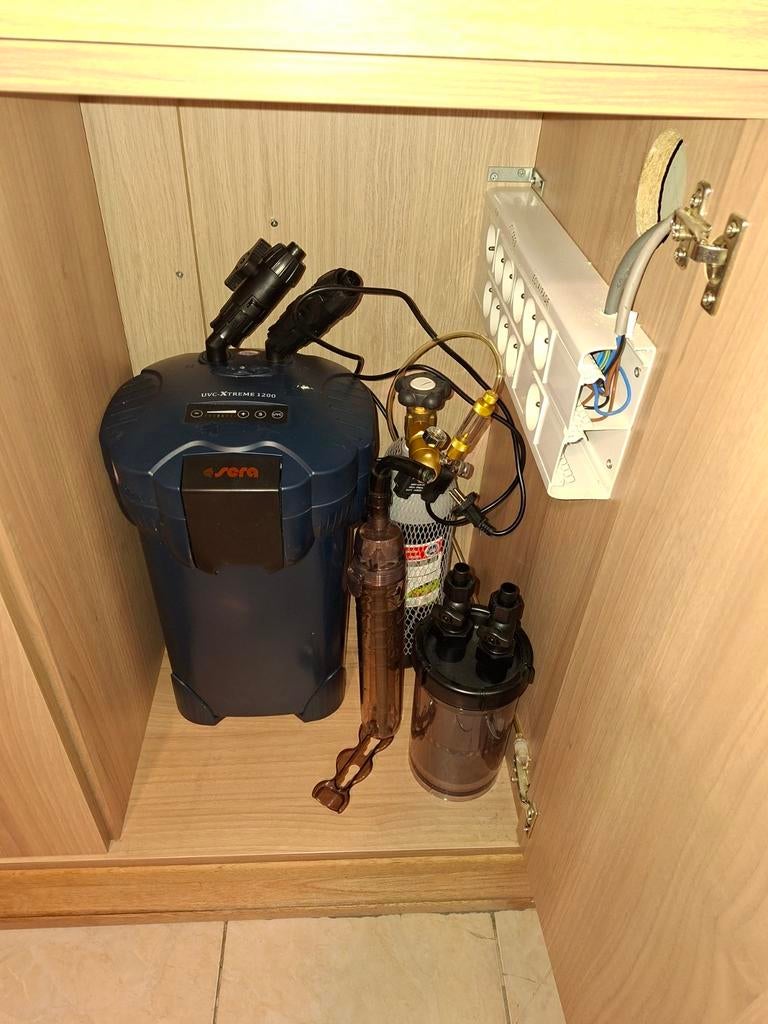 AQUARIUM, Enlèvement