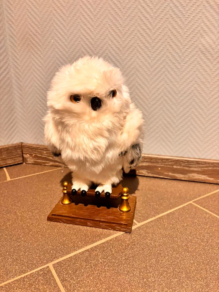 Harry potter uil, Verzamelen, Harry Potter, Ophalen, Zo goed als nieuw