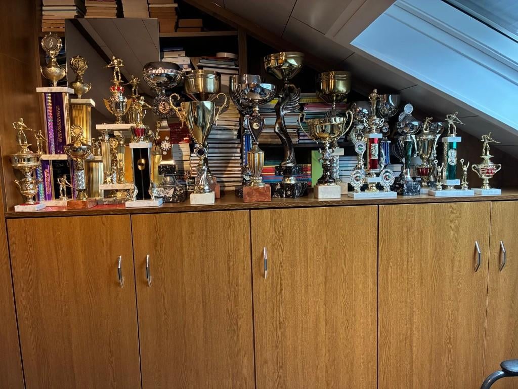 trofeeën biljart, Sport en Fitness, Biljarten en Poolen, Ophalen, Zo goed als nieuw, Overige typen