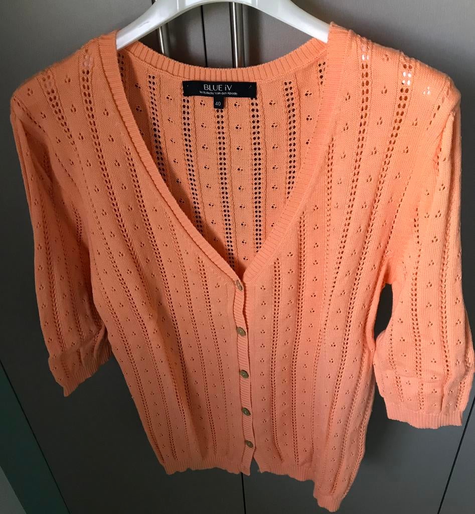 Gilet Blue IV maat 40,nieuw, Kleding | Dames, Overige Dameskleding, Ophalen, Nieuw