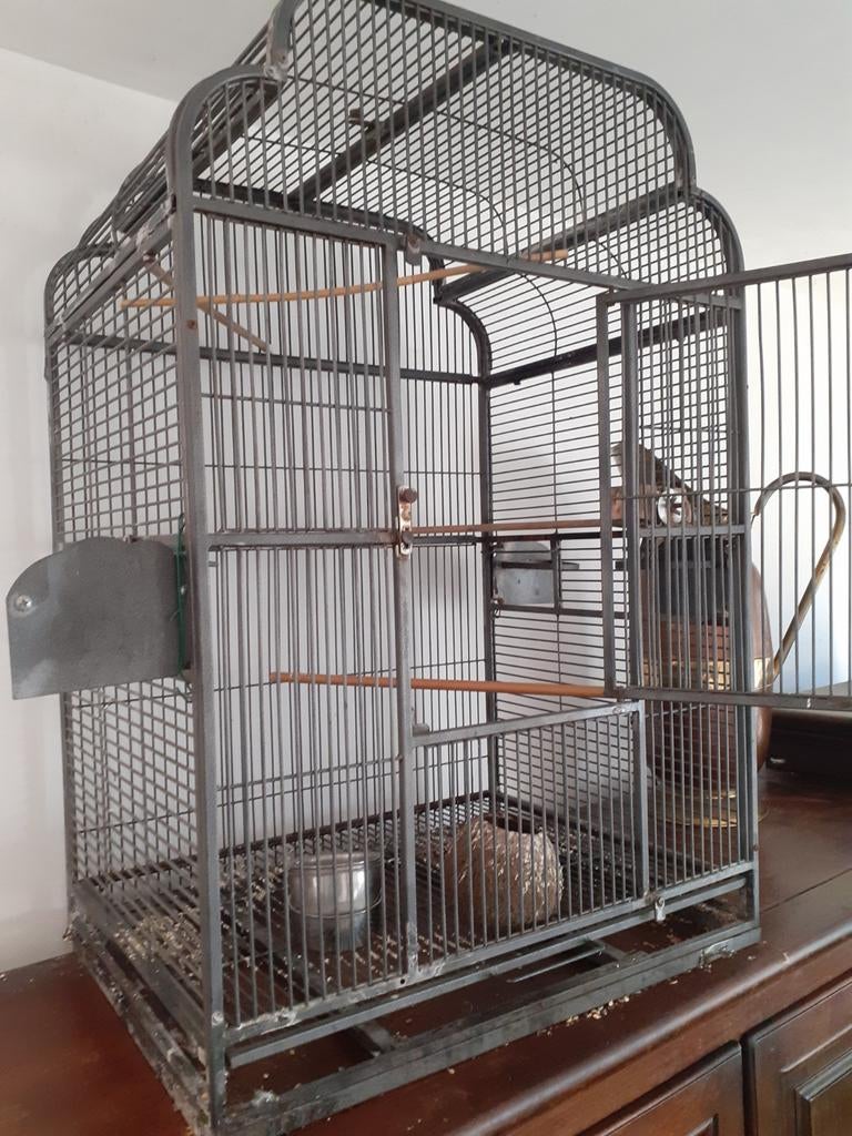 Une cage à vendre, Animaux & Accessoires, Enlèvement, Utilisé, Métal, Cage à oiseaux