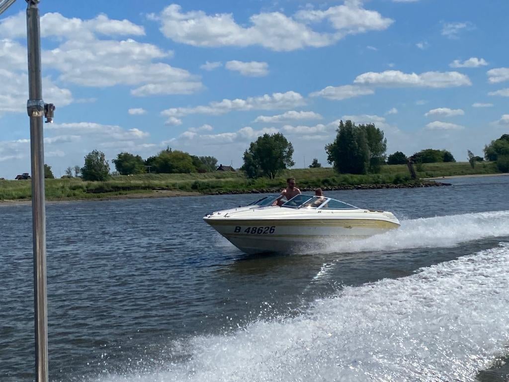 Bateau à moteur Sea Ray avec Mercurer 4.2 185ch, Enlèvement