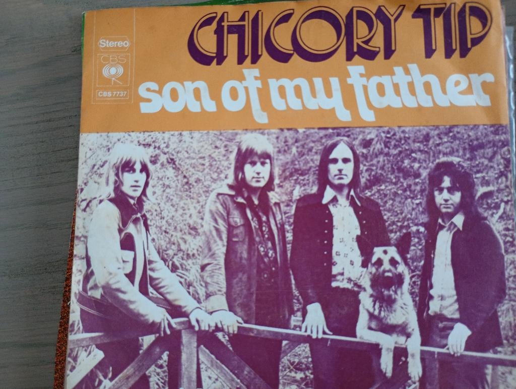 Chicory Tip - Son of my father, Cd's en Dvd's, Gebruikt, 7 inch, Single, Ophalen of Verzenden