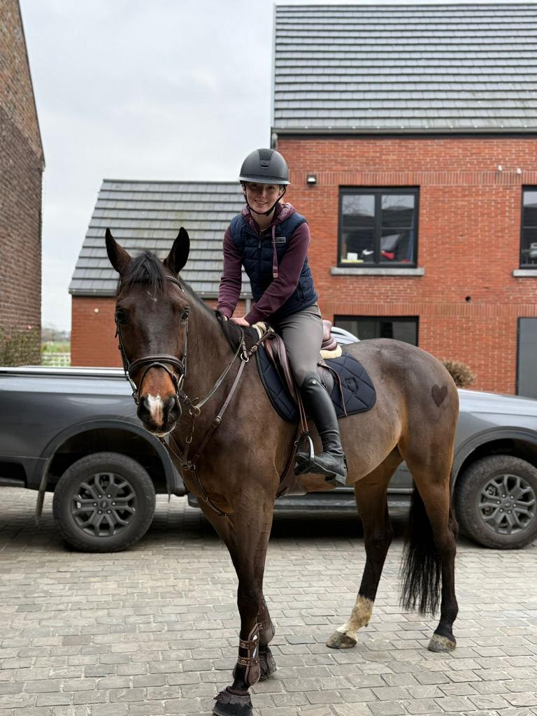 Knappe 9-jarige springmerrie