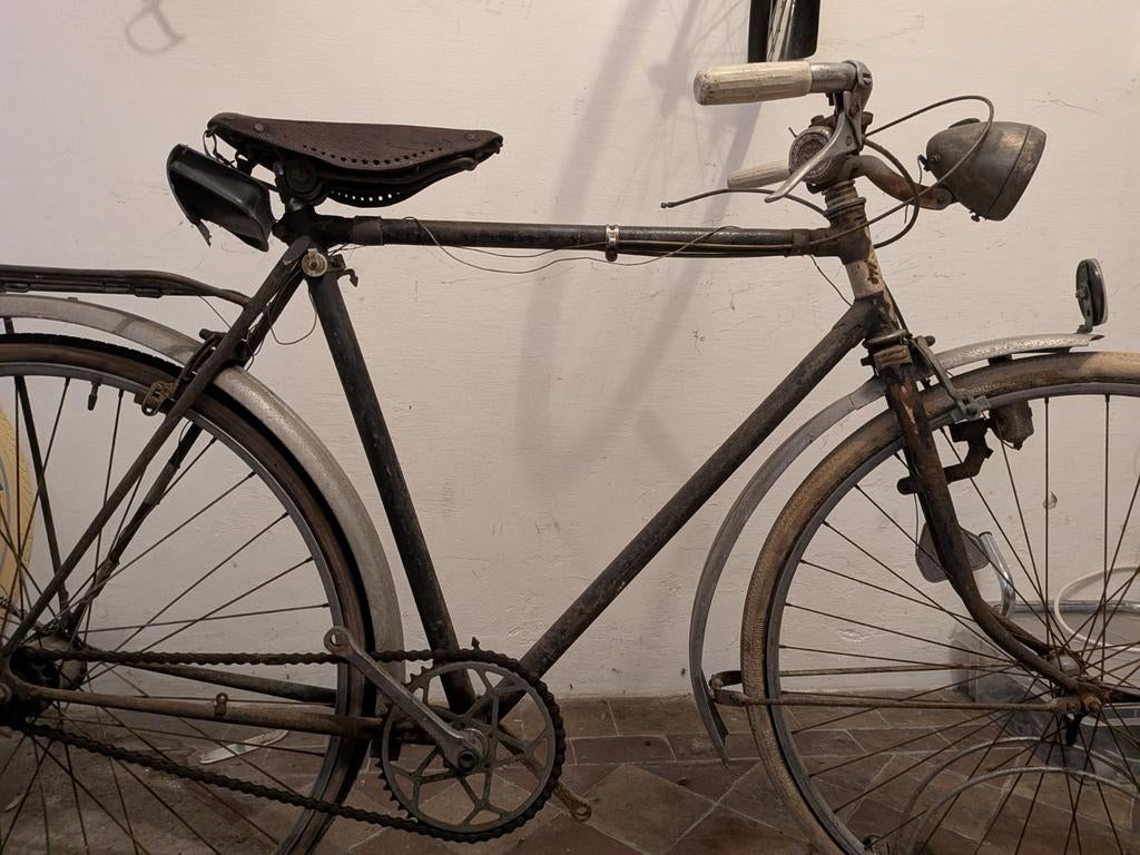 Velo ancêtre, Enlèvement