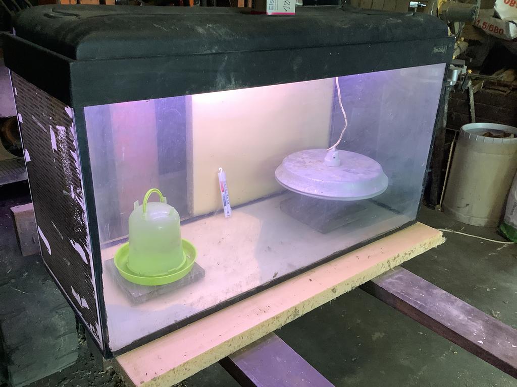 Aquarium of terrarium, Dieren en Toebehoren, Reptielen en Amfibieën | Toebehoren, Ophalen, Gebruikt