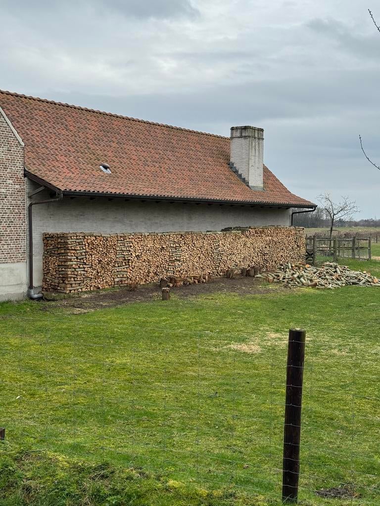 Mooie even lange knotwilgen blokken te koop! +- 40m3, Enlèvement, Bûches