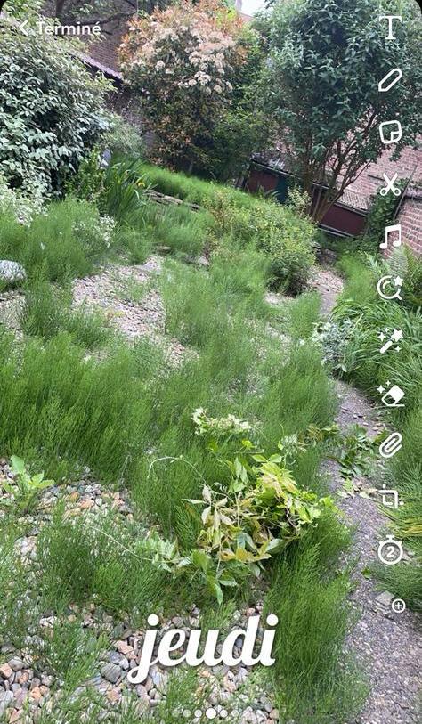 Jardinier, Enlèvement, Comme neuf