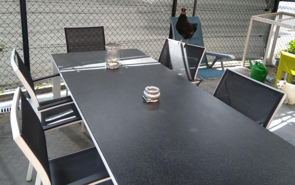 table de jardin + 6 chaises, Jardin & Terrasse, Ensembles de jardin, Utilisé, Salons de jardin, Aluminium, 6 places, Table à dinner