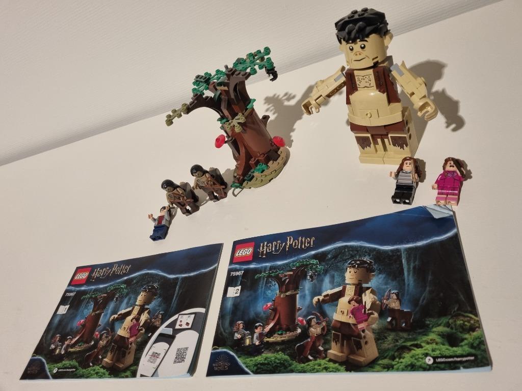 Lego 75967 het verboden bos: ombers ontmoeting, Ophalen of Verzenden, Zo goed als nieuw, Complete set, Lego
