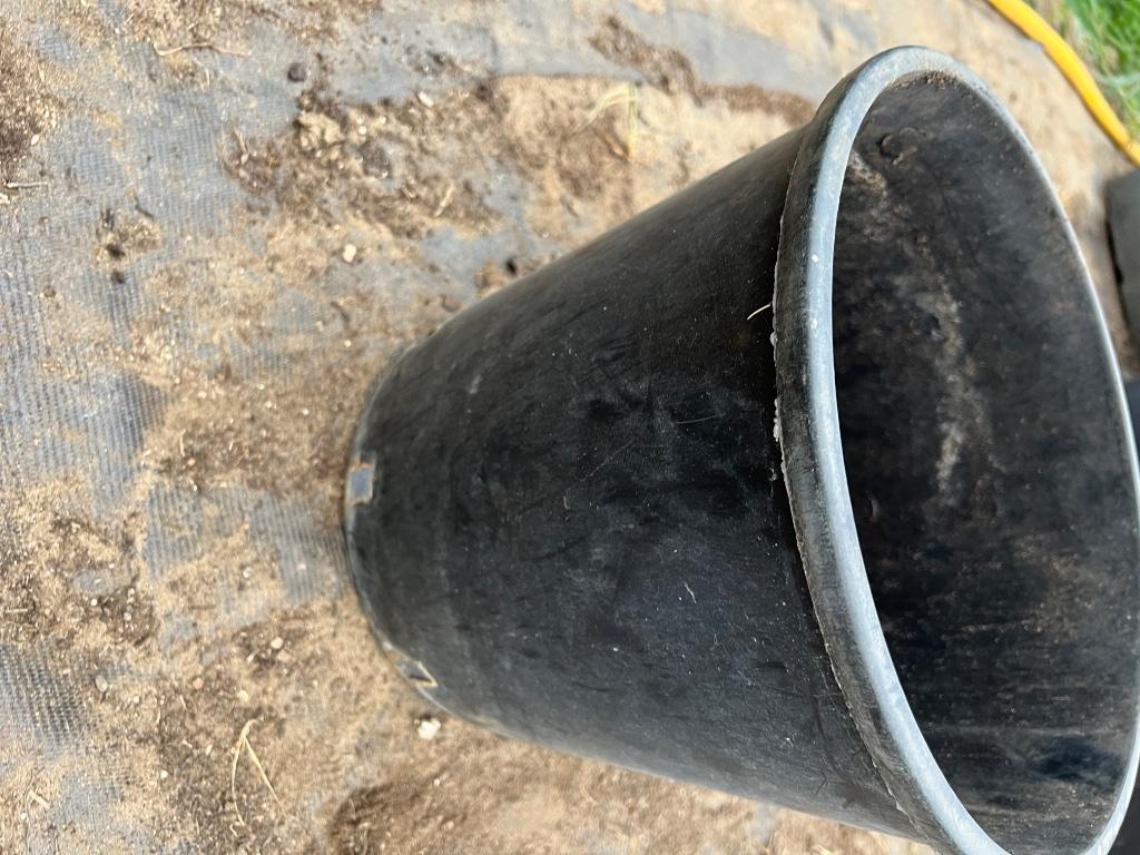 Grote bloempot in harde plastiek 30 x 27 cm, 25 tot 40 cm, Kunststof, Rond, Ophalen of Verzenden