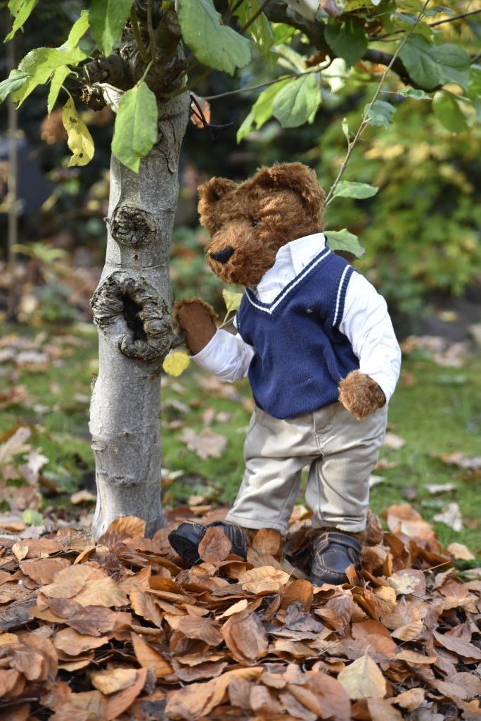 Teddybeer Blauwbeerd, Verzamelen, Beren en Cherished Teddies, Zo goed als nieuw, Stoffen beer, Overige merken, Ophalen of Verzenden