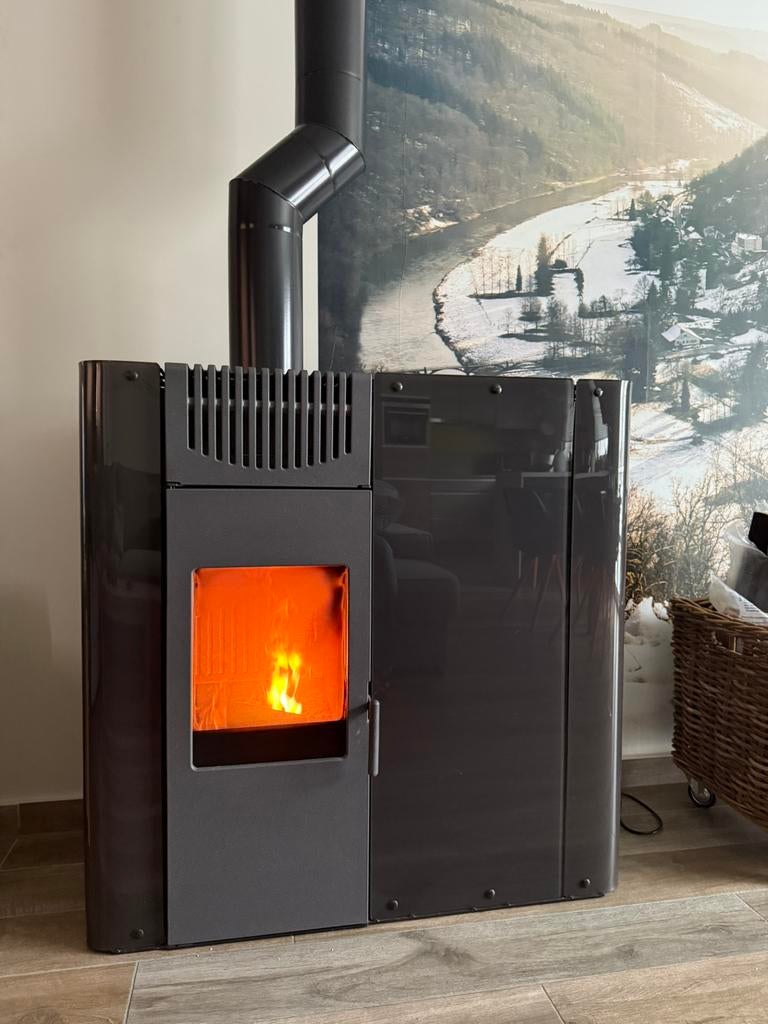 Poêle à bois Combi à granulés, Enlèvement, Poêle à bois