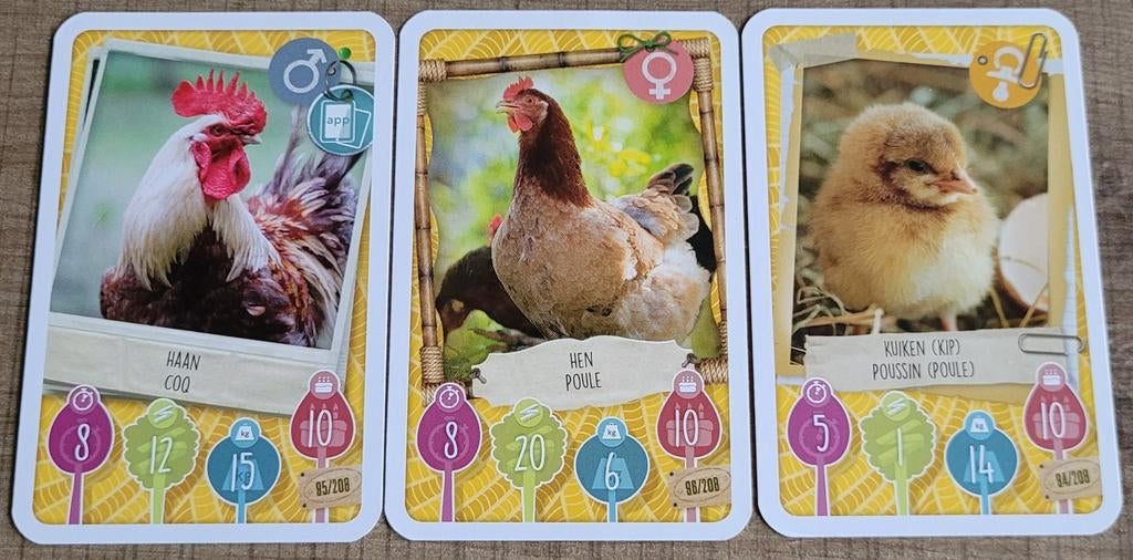 3 fotokaarten: haan, kip en kuikentje, 1980 tot heden, Ophalen of Verzenden, Zo goed als nieuw, Dier