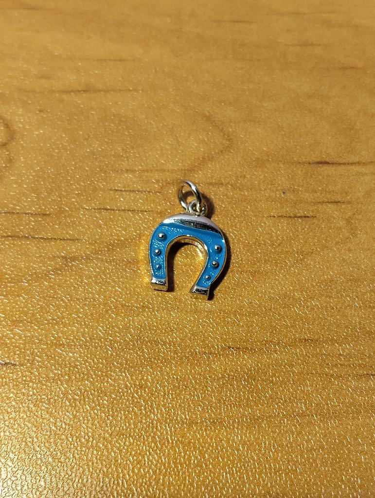 Vintage blauwe hoefijzerhanger, Handtassen en Accessoires, Antieke sieraden, Ophalen, Overige materialen, Hanger