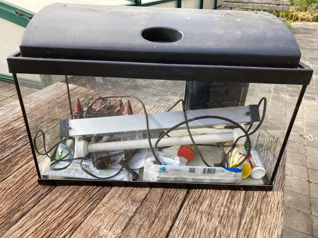 Aquarium, Animaux & Accessoires, Poissons | Aquariums & Accessoires, Enlèvement