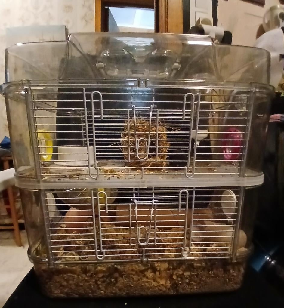 Hamster kooi  10 euro, Ophalen