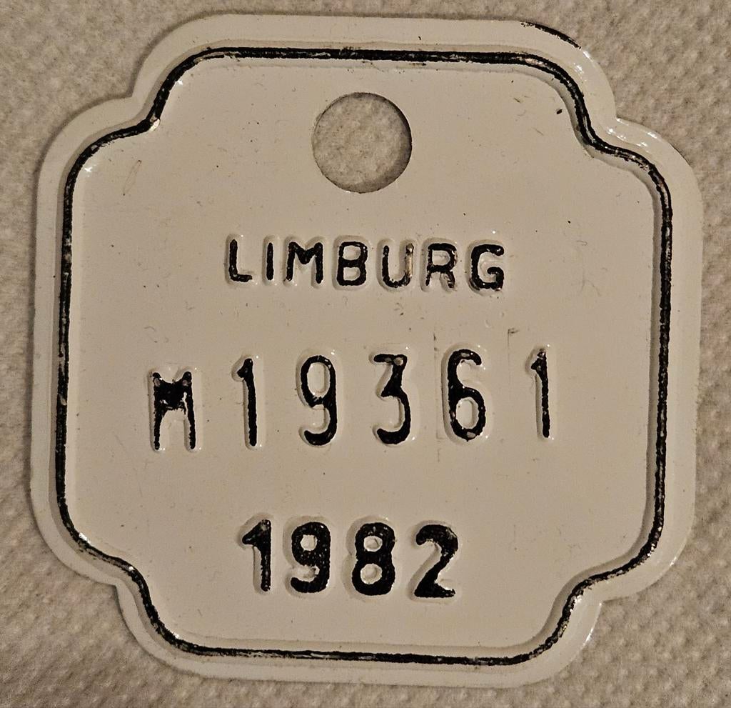 Plaque de vélo Limburg 1982 M19361
C'est un Be, Collections, Enlèvement ou Envoi