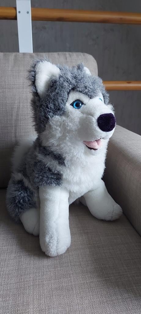 Knuffel Husky 35 cm, Enlèvement, Comme neuf, Chien