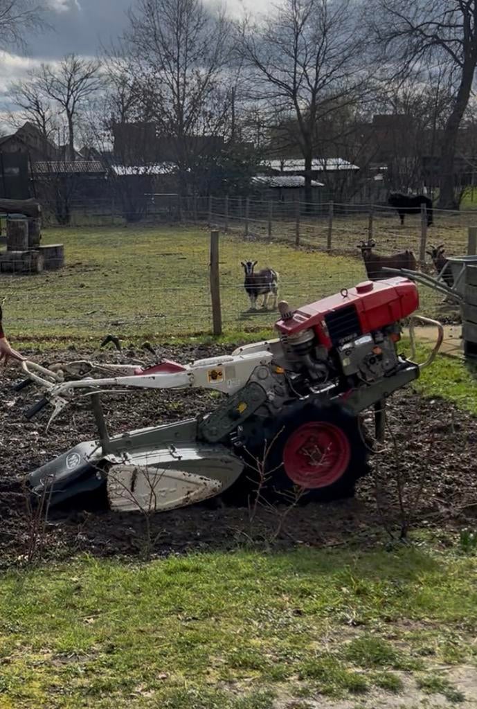 Bakfrees motocultor yanmar diesel 9pk, Doe-het-zelf en Bouw, Ophalen