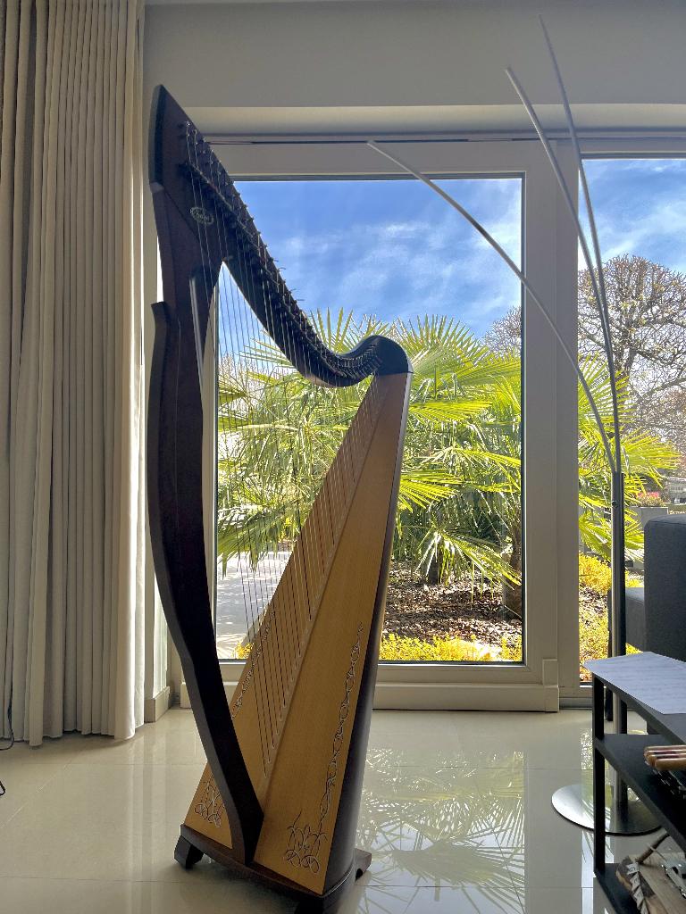 Harpe Salvi Egan, Musique & Instruments, Instruments à corde | Harpes, Enlèvement