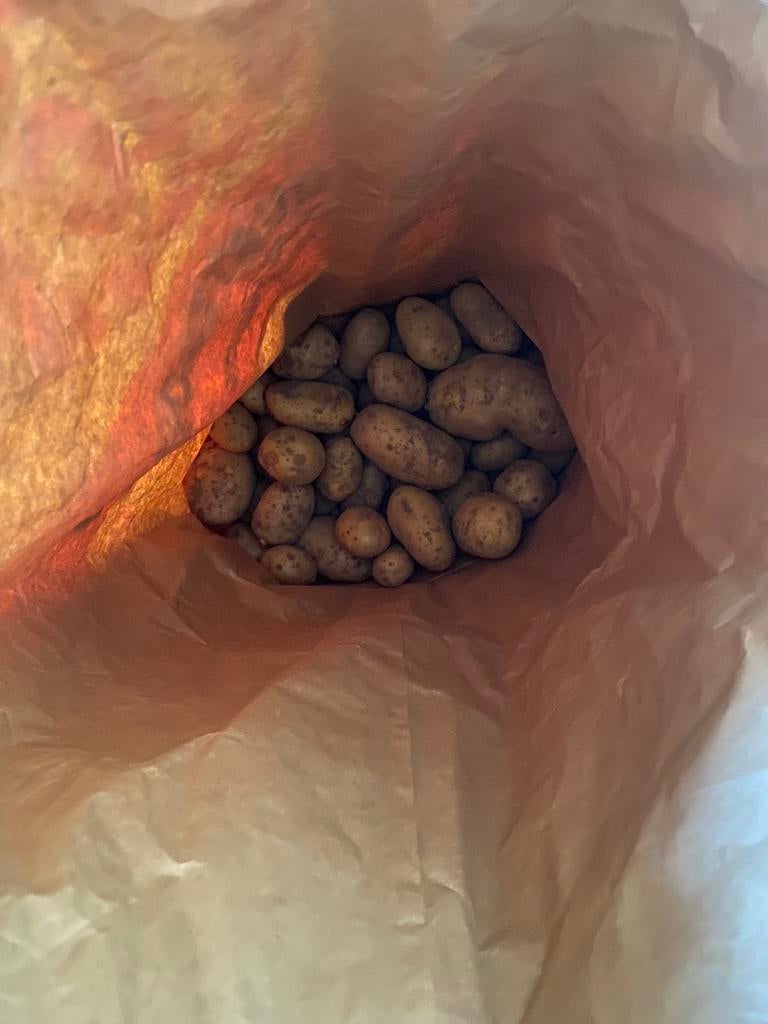 Pommes de terre Bintje, Articles professionnels, Enlèvement