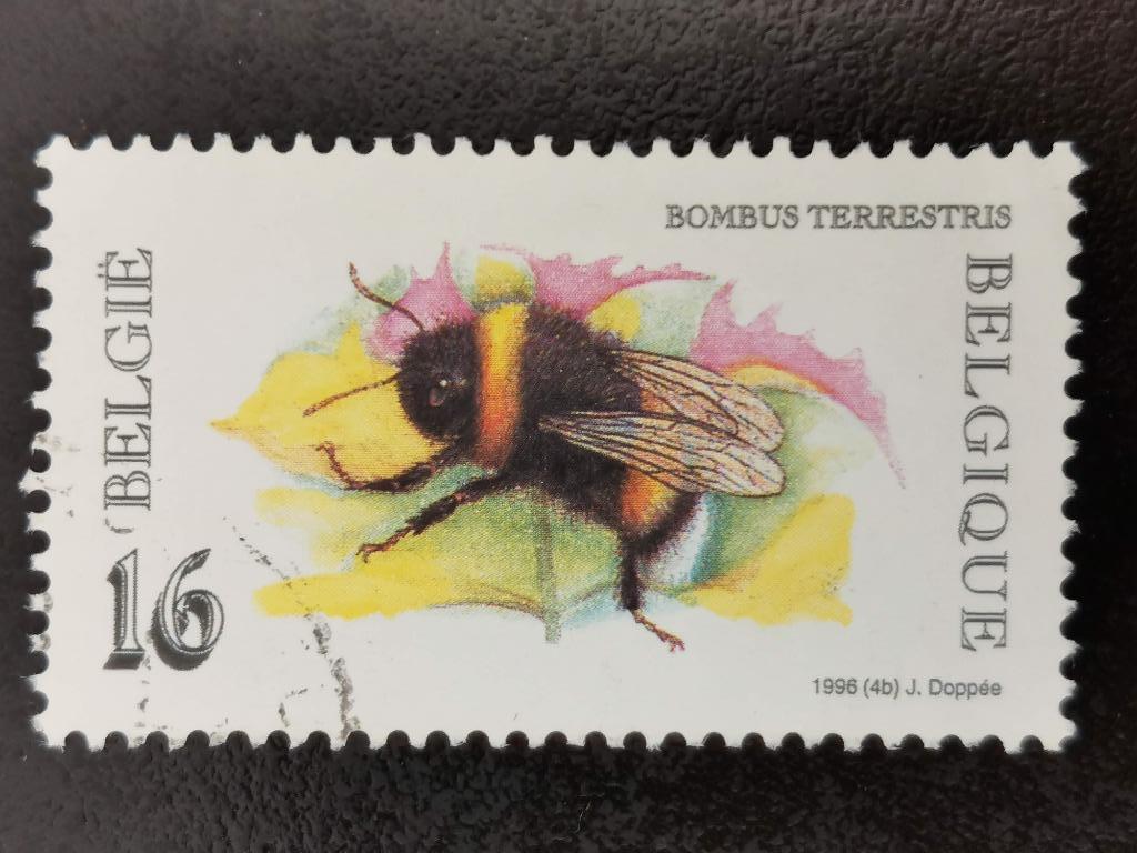 Belgique 1996 - insectes - bourdon terrestre, Enlèvement ou Envoi, Affranchi