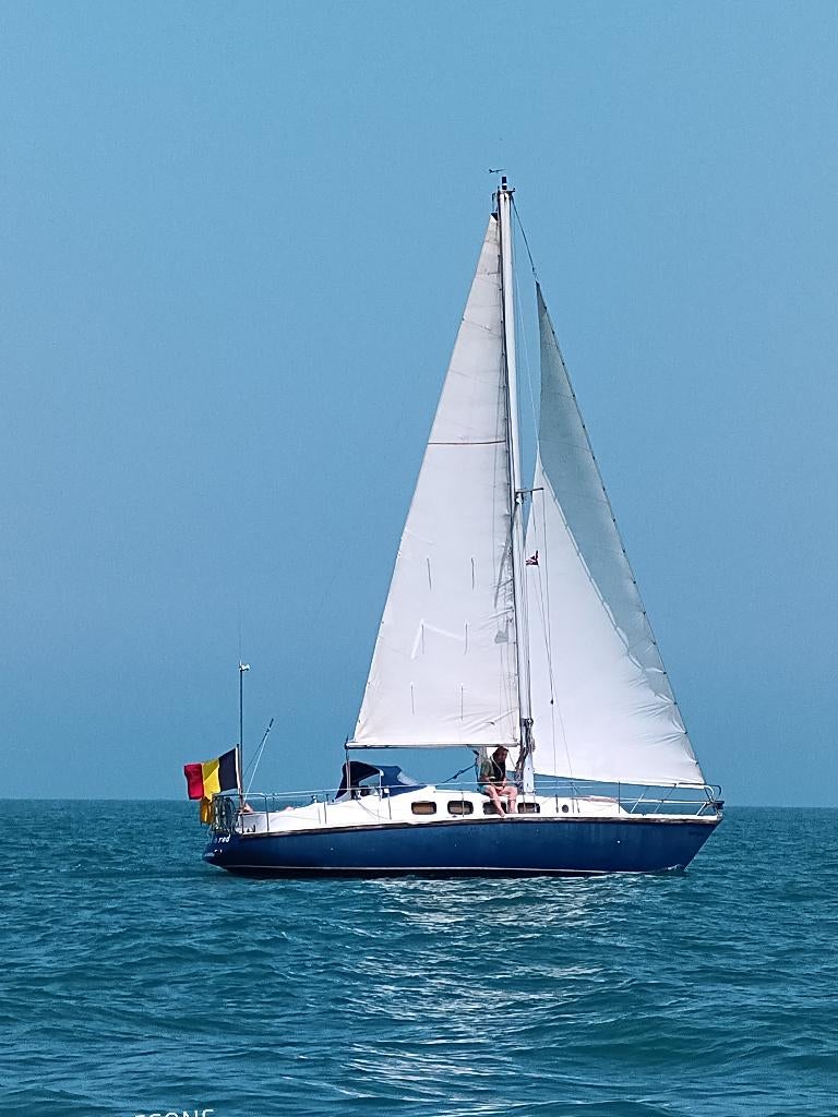 Phantom 34, Watersport en Boten, Ophalen, Gebruikt, Diesel, 9 tot 12 meter