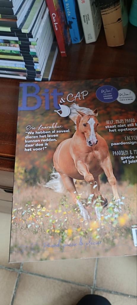 Bit & Cap Nouveau !, Enlèvement, Neuf