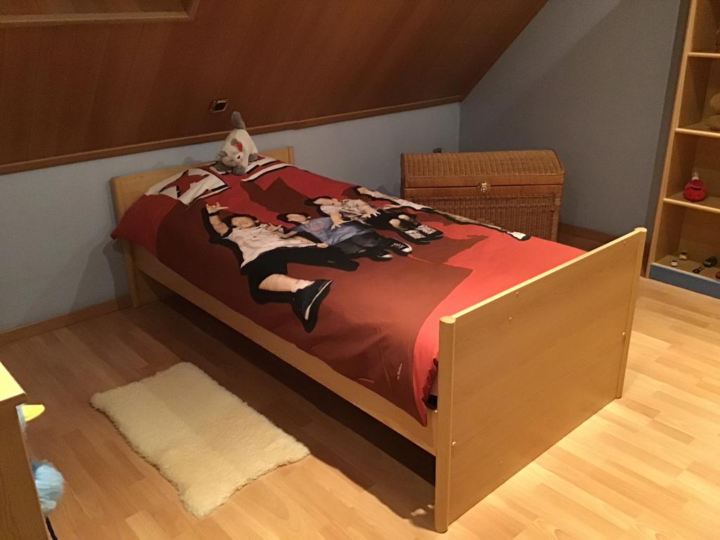 1 persoonsbed en lattenbodem, Ophalen, Gebruikt, Eenpersoons