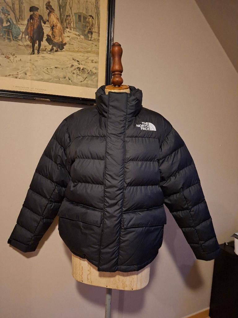 Winterjas The north face vrouwen, Kleding | Dames, Maat 38/40 (M), Verzenden, Zwart, Nieuw