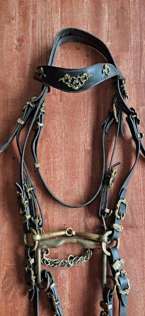 Bride ancienne environ 1880–1910, Animaux & Accessoires, Chevaux & Poneys | Brides & Harnachement, Utilisé, Dressage, Enlèvement ou Envoi