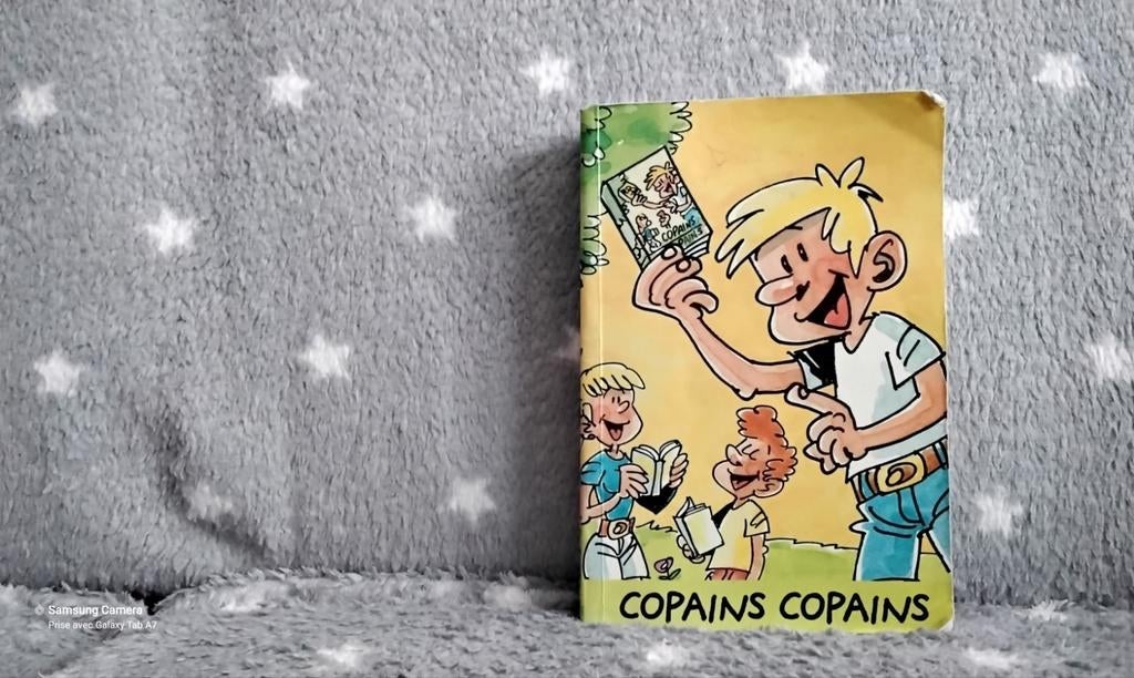 Copains Copains, Livres, Comme neuf